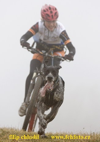 Tri studne podzim 08 - 363.jpg